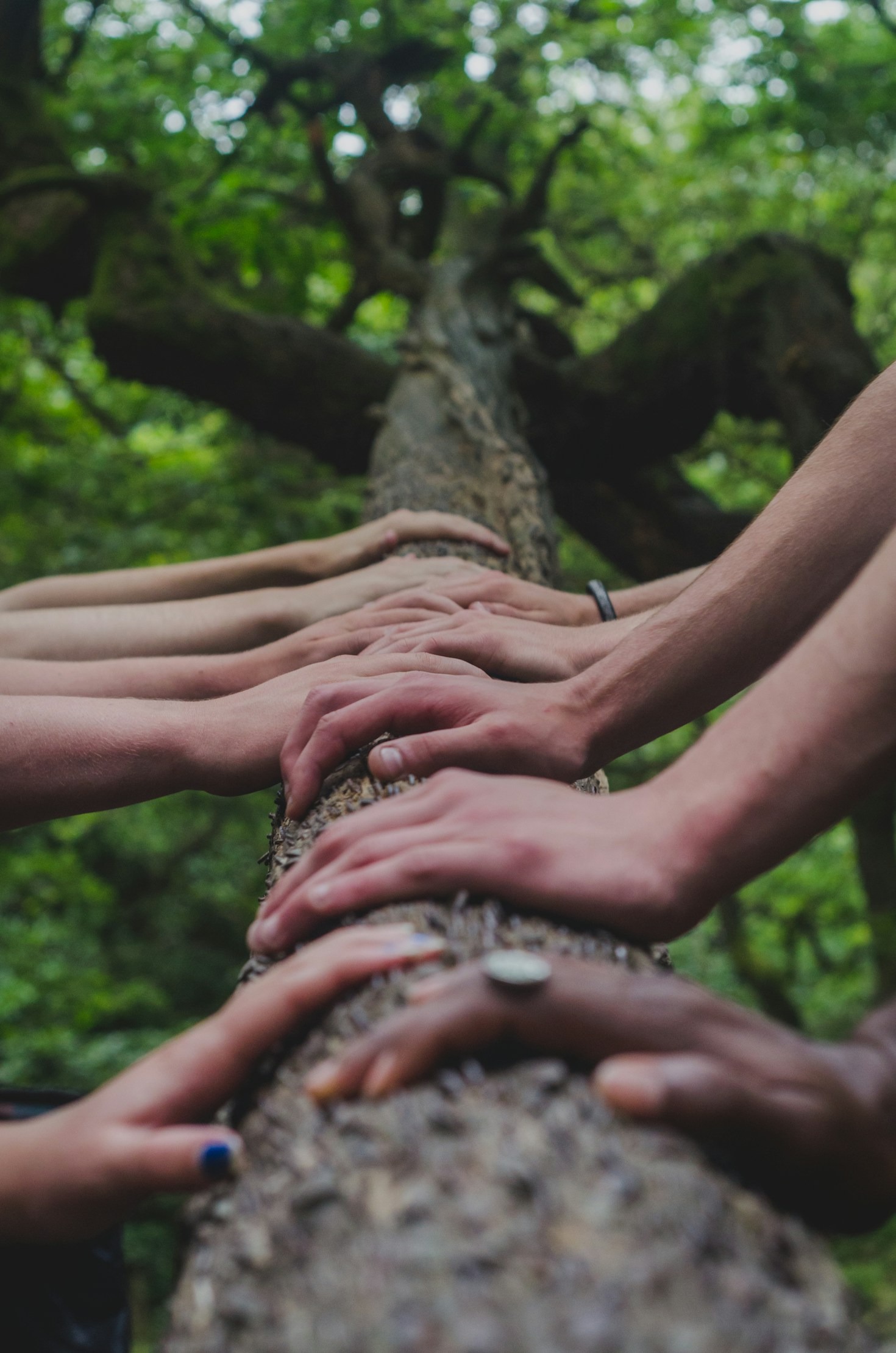 How to Engage Others with Your Ideas
